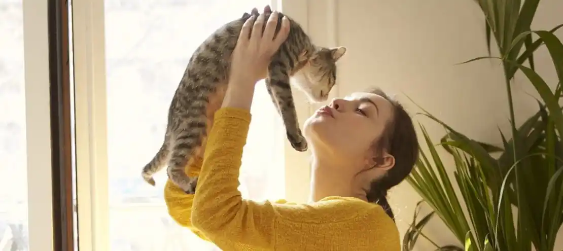 Un parásito de los gatos podría derivar en esquizofrenia