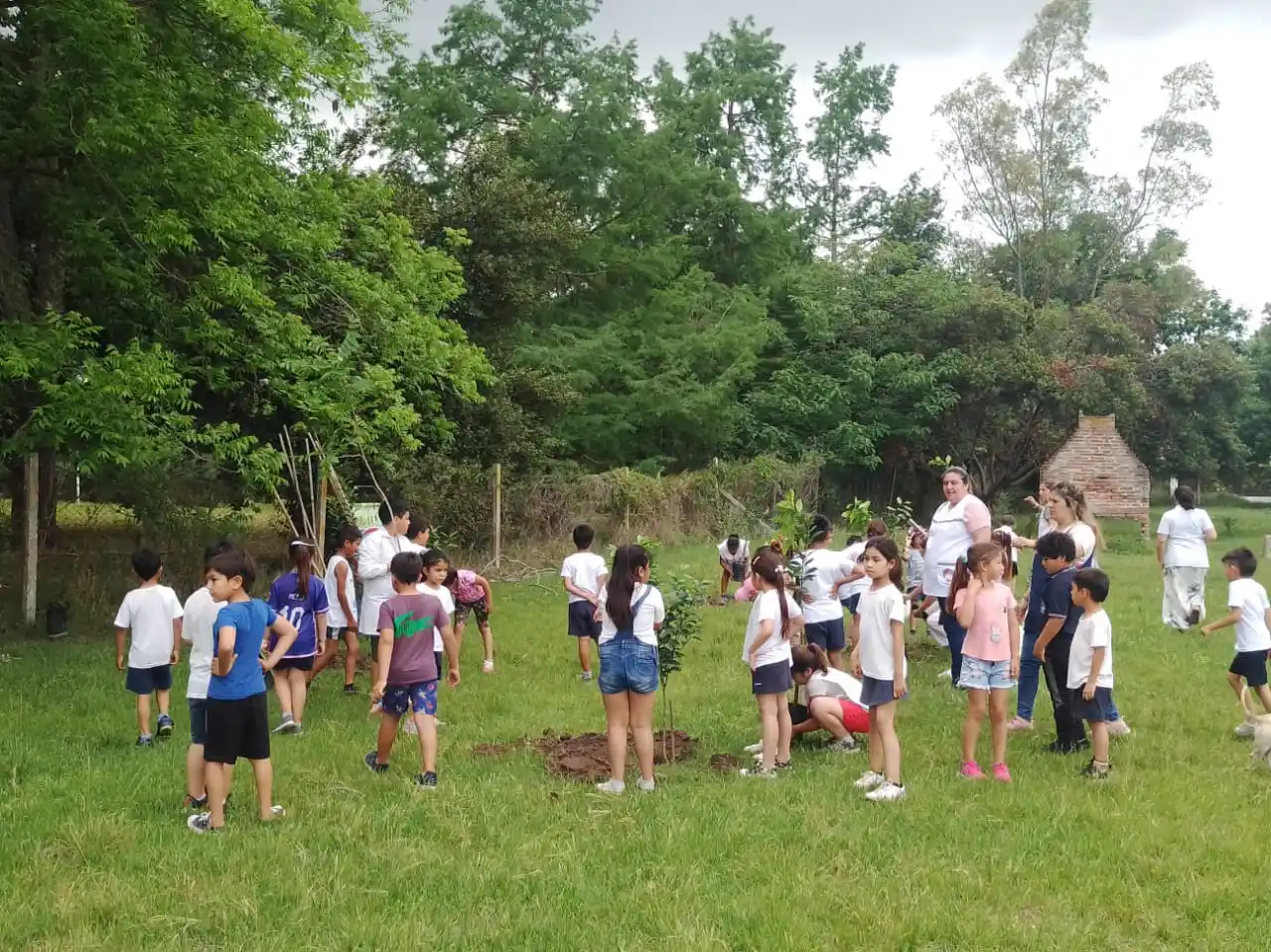 Se plantaron trece árboles frutales en la Escuela “Rudecindo Alvarado”