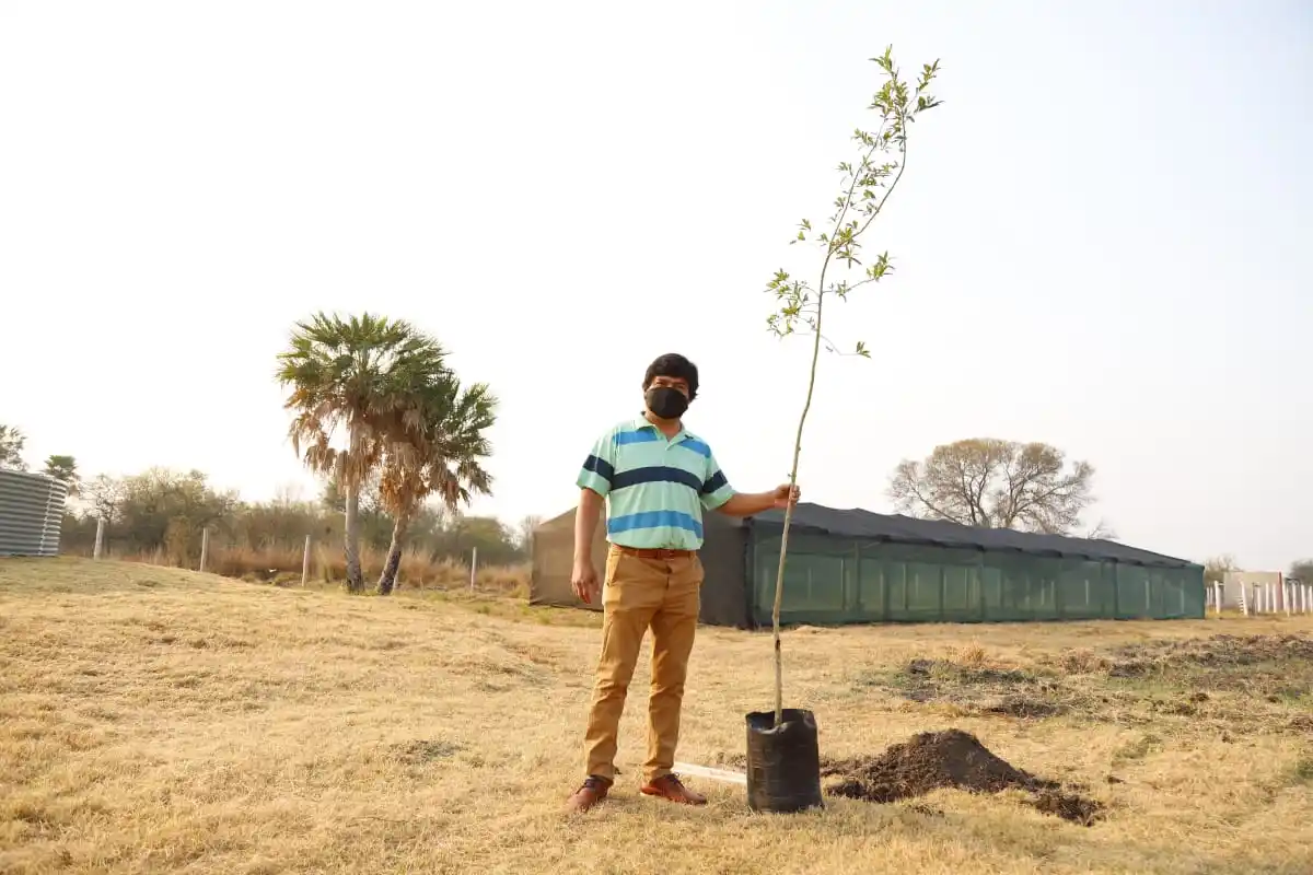 Programa Plantar para el Futuro: se plantaron cinco mil árboles durante el primer año del