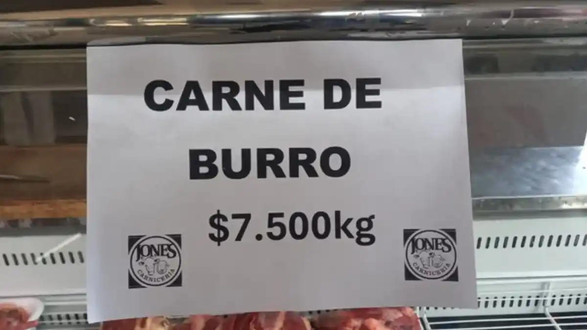 carne de burro - 2