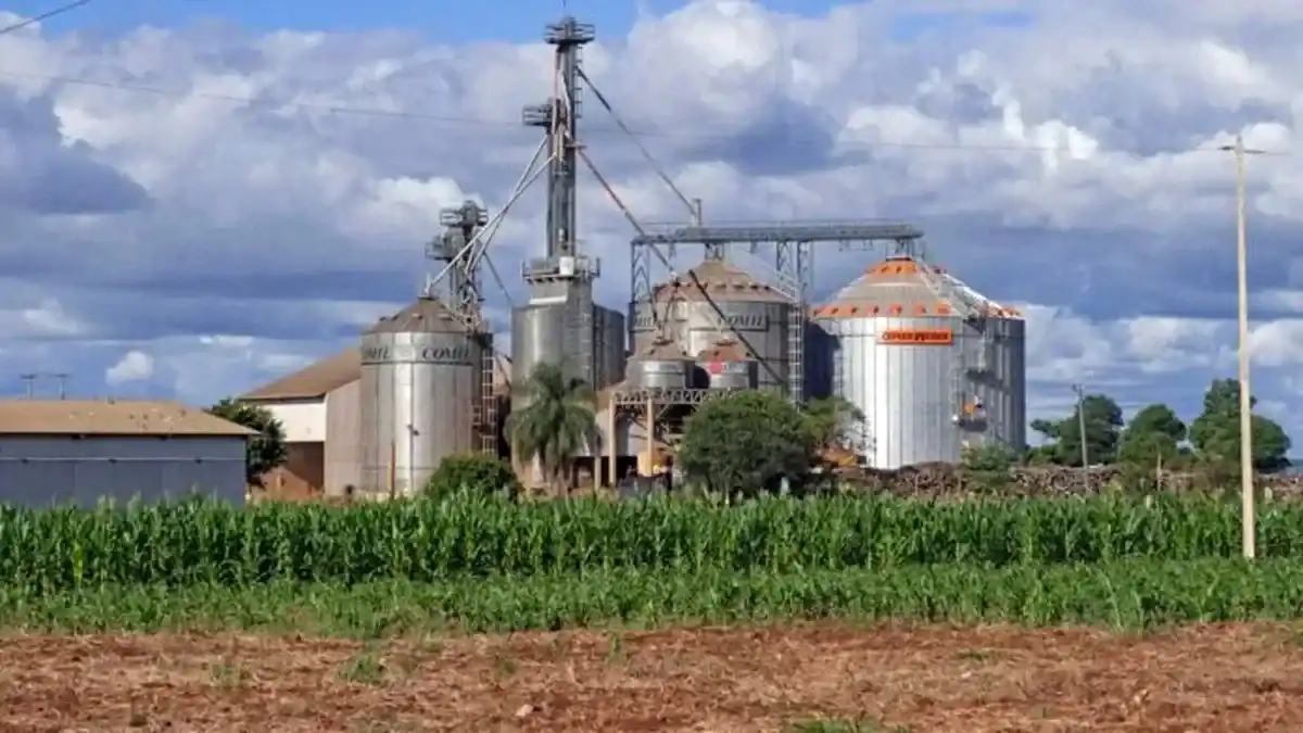 El biodiesel tocó mínimos y miró al Senado en busca de ayuda