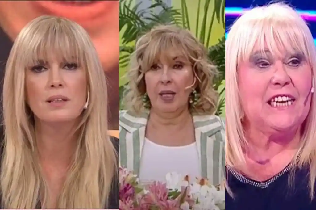 Viviana contra Georgina Barbarrosa y Laura Ubfal