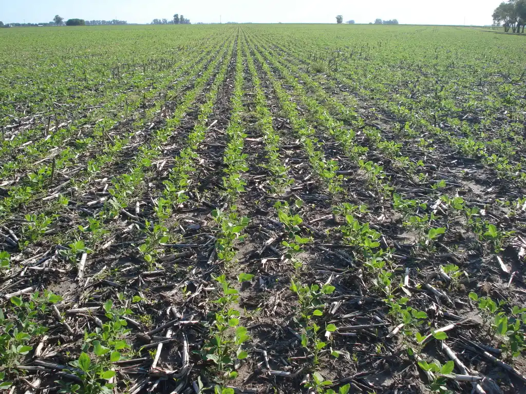 Crisis Hídrica: “Debemos regular la forma de producir”