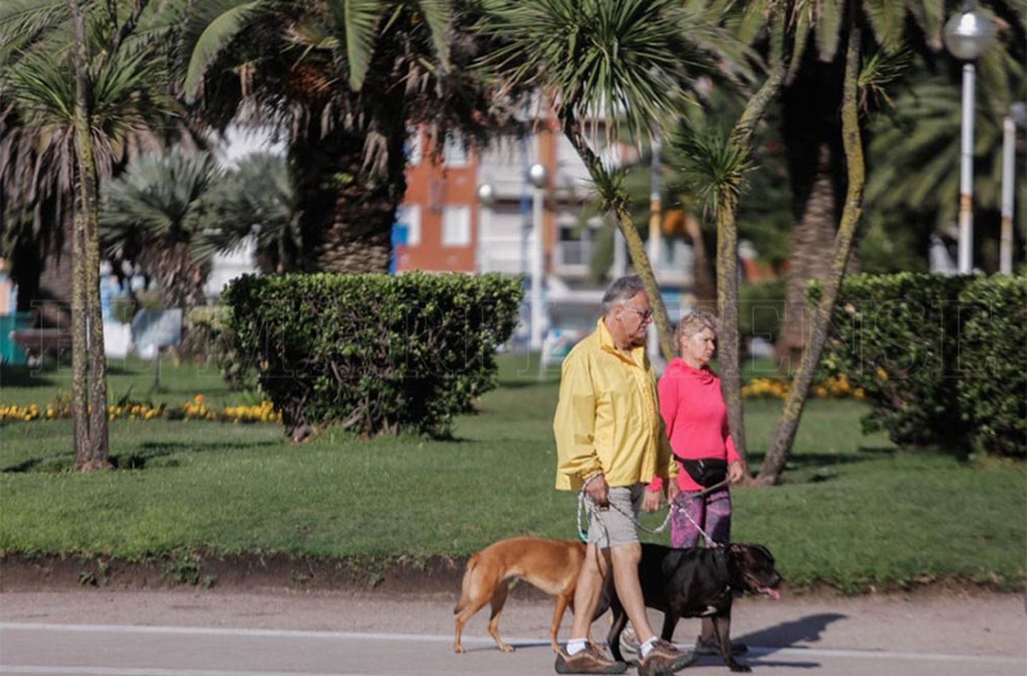 Mañanas alegres, tardes tristes: pronostican chaparrones y tormentas