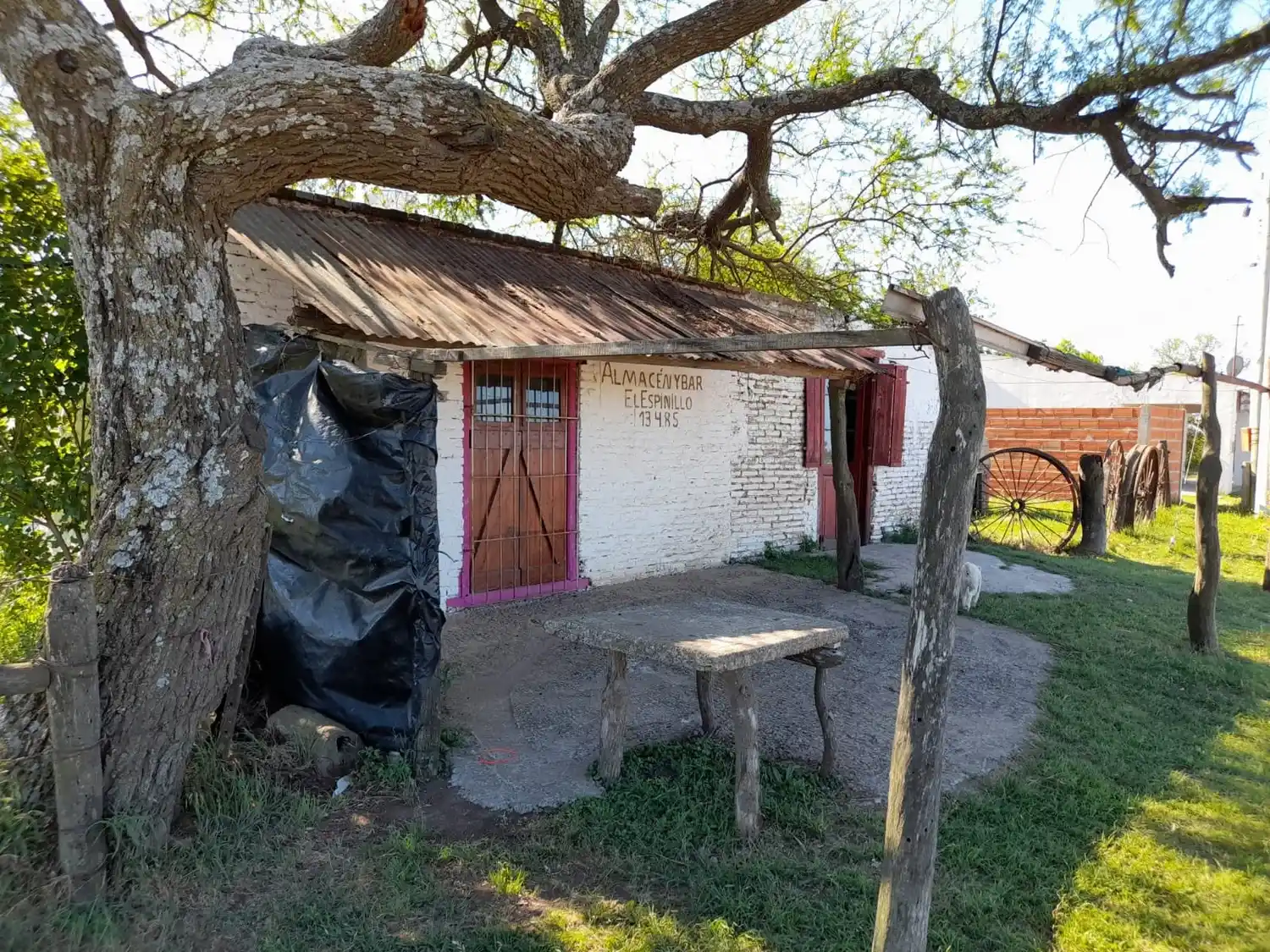 Entre ñandubayes y memorias: el alma rural del almacén El Espinillo