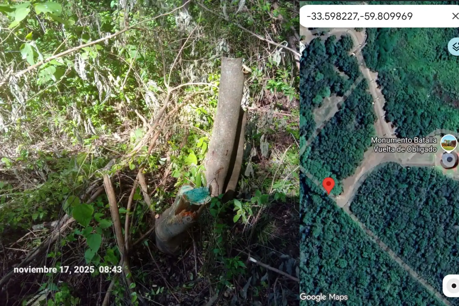 quique sierra vuelta de obligado reserva