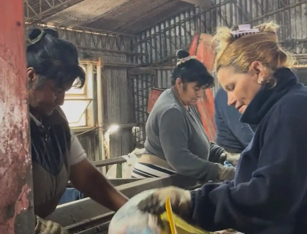 10 de mayo: Día del reciclador urbano
