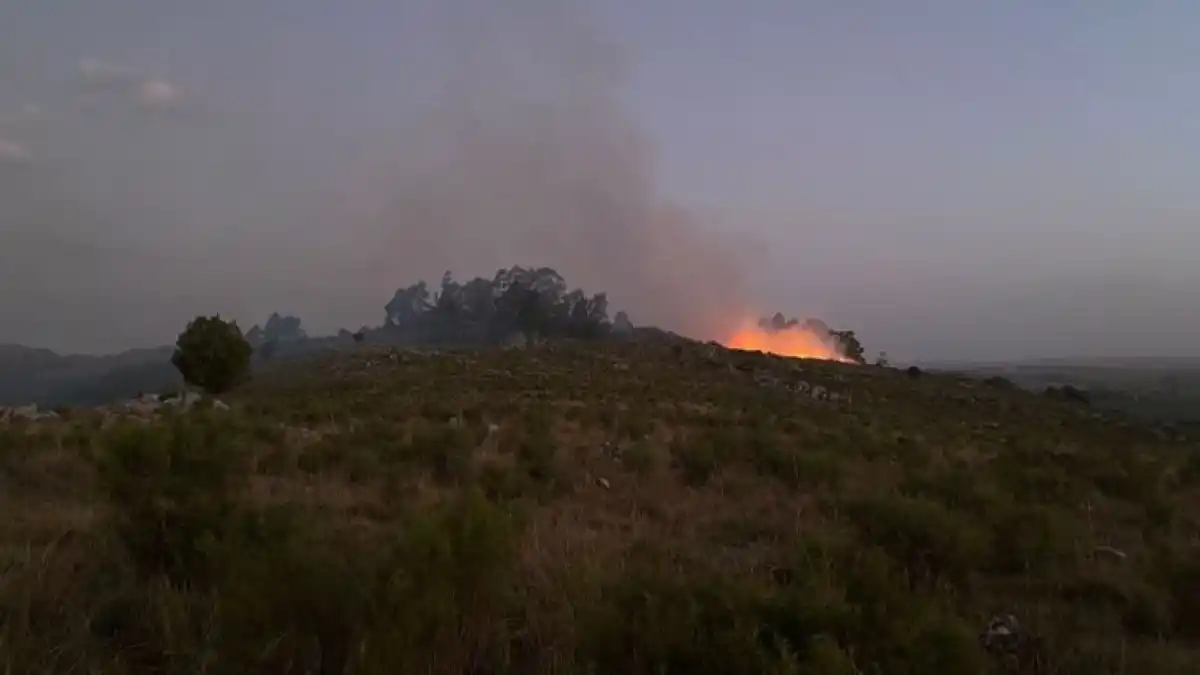 Tandil: preocupa el aumento de incendios, con más de 35 intervenciones de bomberos en lo que va de febrero