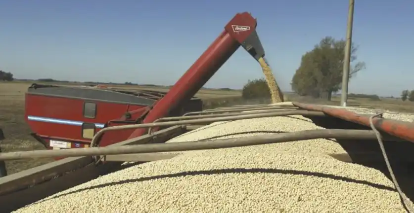 Agroexportadores liquidaron US$ 1.600 millones en las primeras dos semanas del nuevo dólar soja