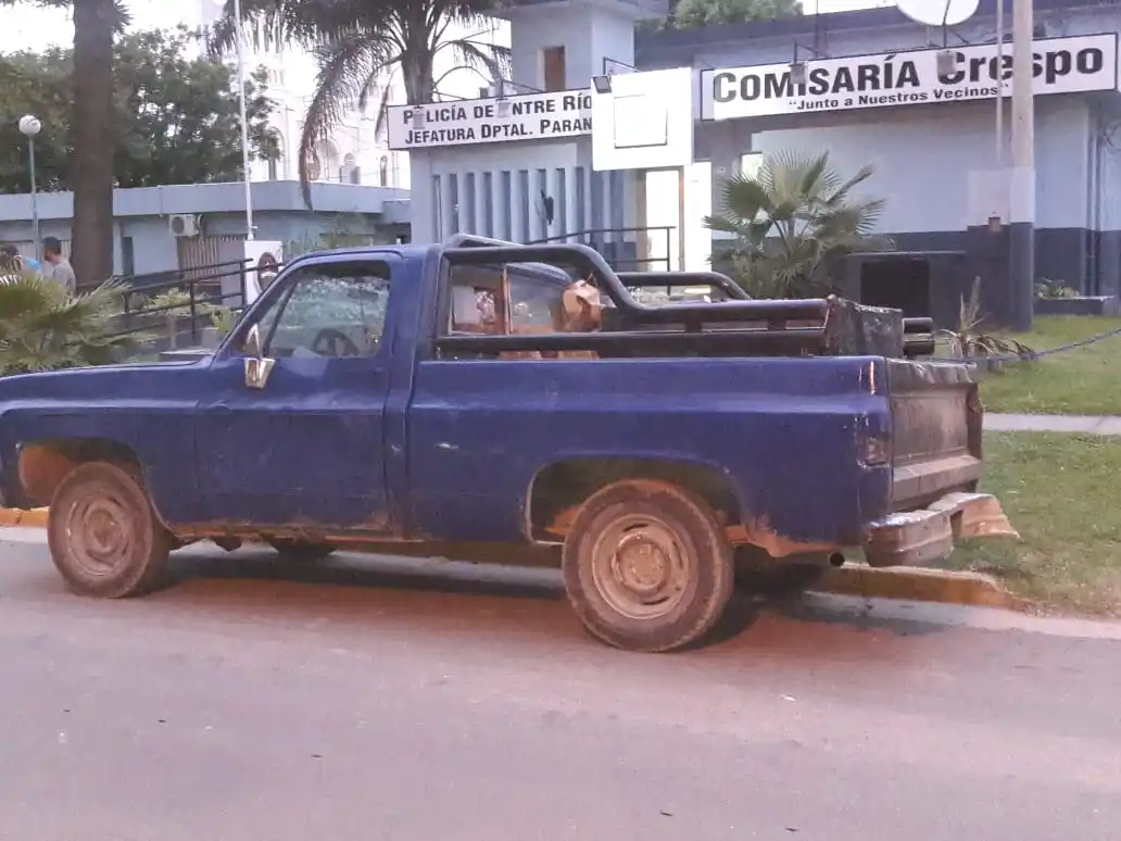 Demoraron a los paranaenses que recorrían caminos vecinales de la zona transportando ocho galgos en una camioneta