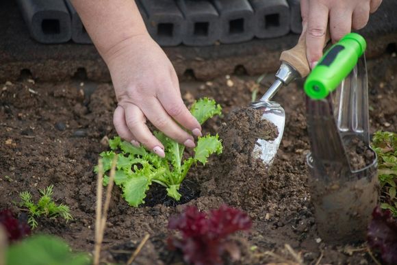 Taller de huerta y compostaje en el barrio Villa Rosas