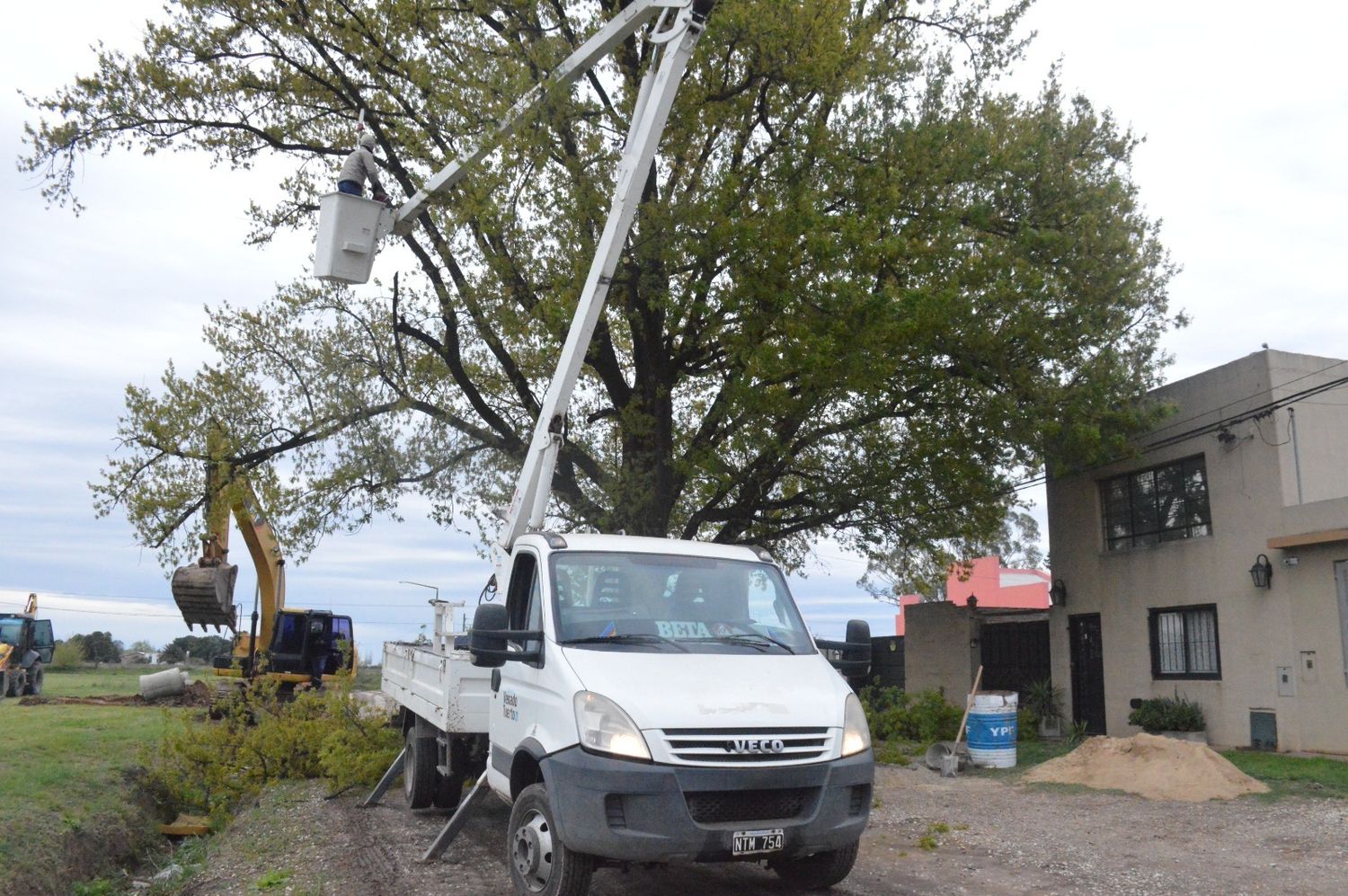 Las cuadrillas municipales en trabajos de limpieza y poda. Foto: MVT