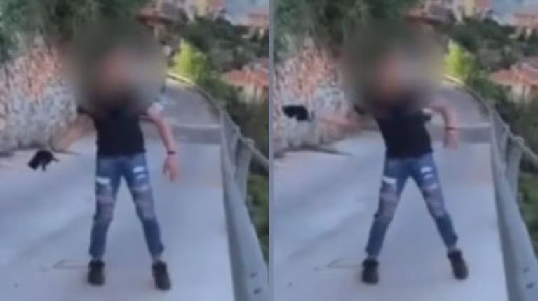 Un polémico video de un joven tirando a un gato desde un puente en Italia instaló el debate sobre el maltrato animal