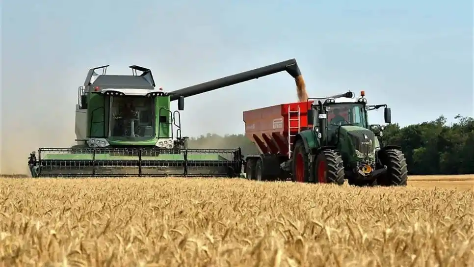 Las exportaciones del agro crecieron 25% en 2024 y alcanzaron un superávit de US$ 39.000 millones
