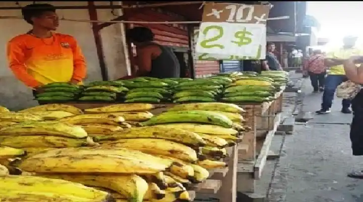 Estiman que Venezuela cierre el 2021 con la tasa de desempleo más alta de la región