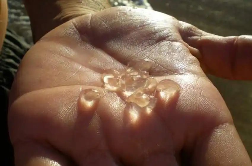 Complicación en las playas de la Costa Atlántica por la aparición de tapiocas