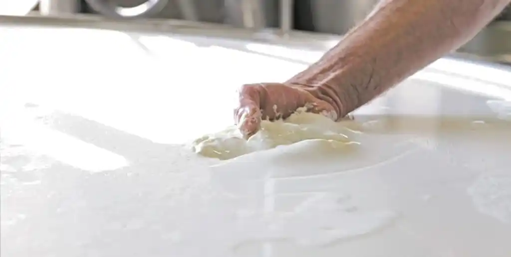 La industria láctea enfrenta una fuerte carga tributaria. Foto: Archivo El Litoral