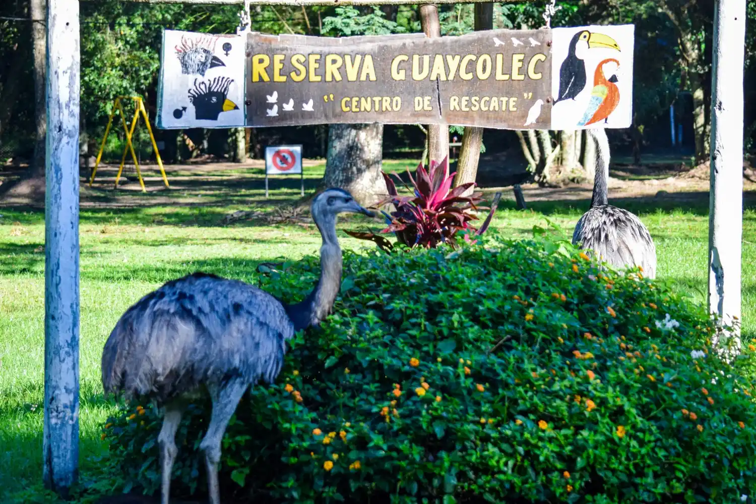 Guaycolec abre sus puertas este fin de semana largo