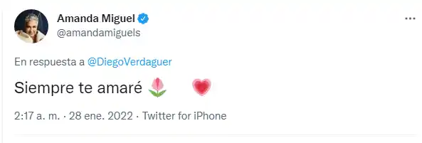 Así se despidió Amanda Miguel de Diego Verdaguer. Foto Twitter