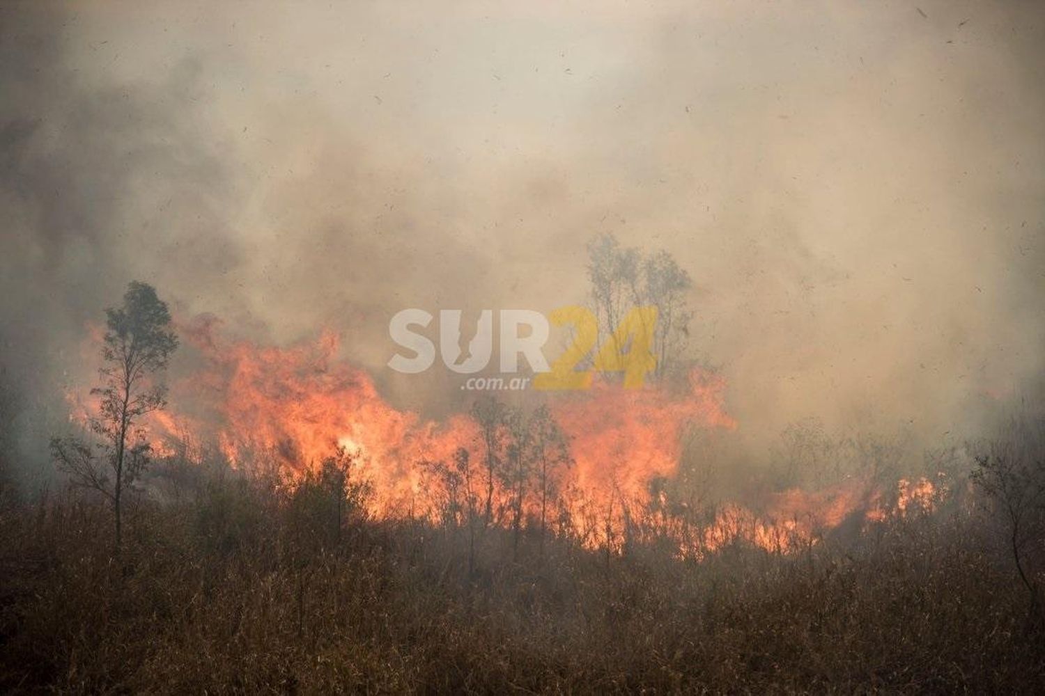 Las quemas en las islas provocaron marchas y denuncia de autoridades