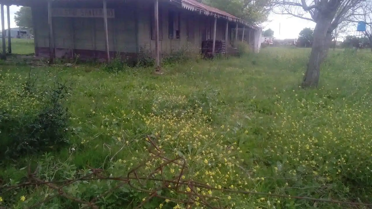 Estación Lazo - Escuela de Madera