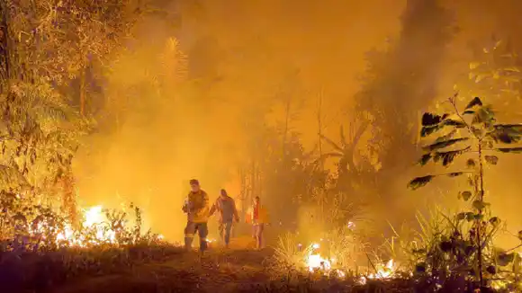 ¡ALERTA! INCENDIOS en el Amazonas aumentan emisiones de carbono a la atmósfera