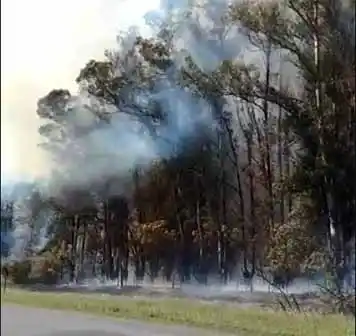 Humo en la ruta 86 por el incendio en un monte