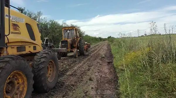 Vialidad trabaja en la recuperación de los caminos rurales 