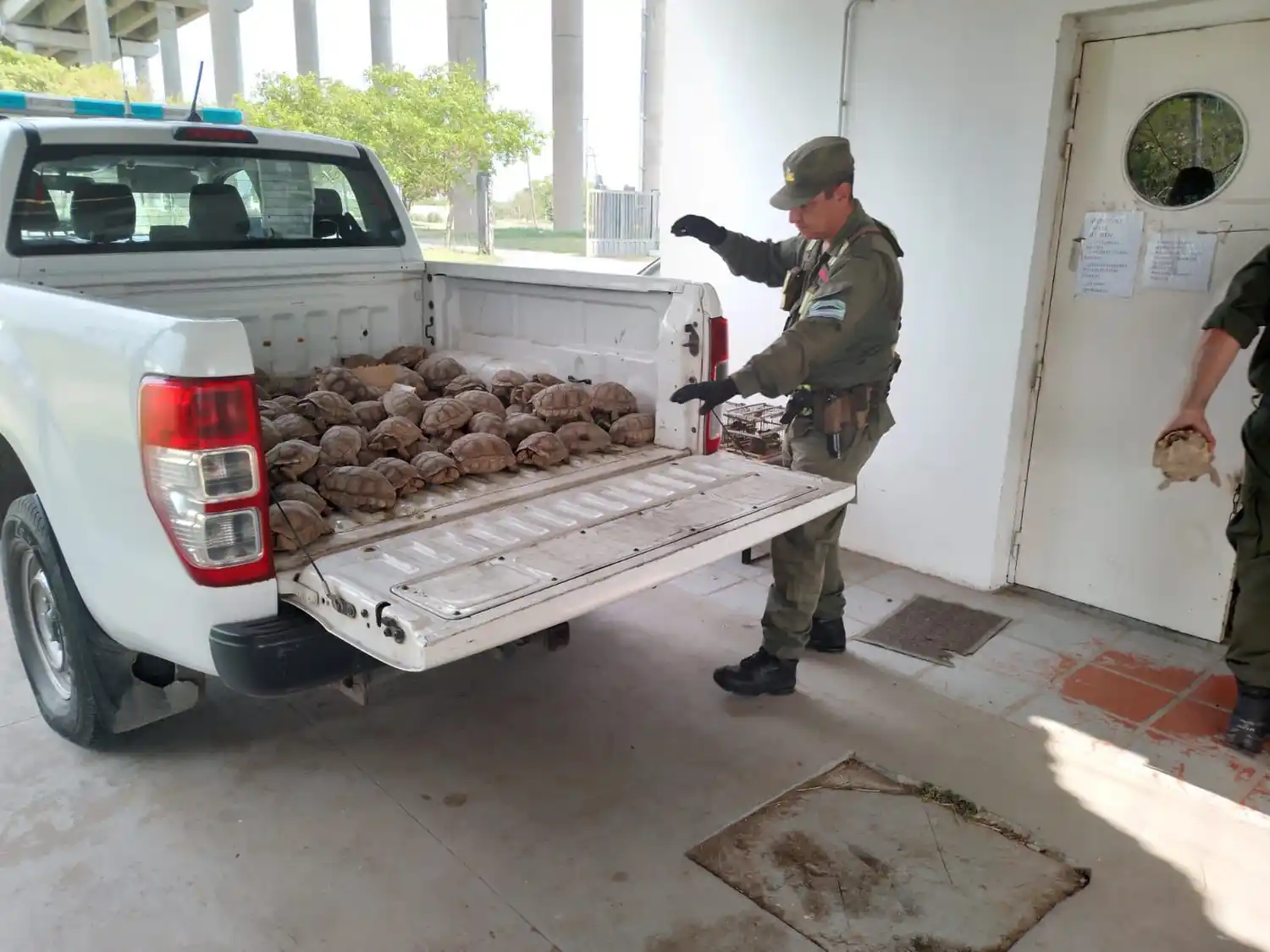 Refuerzan las multas por delitos contra la fauna silvestre en Santa Fe