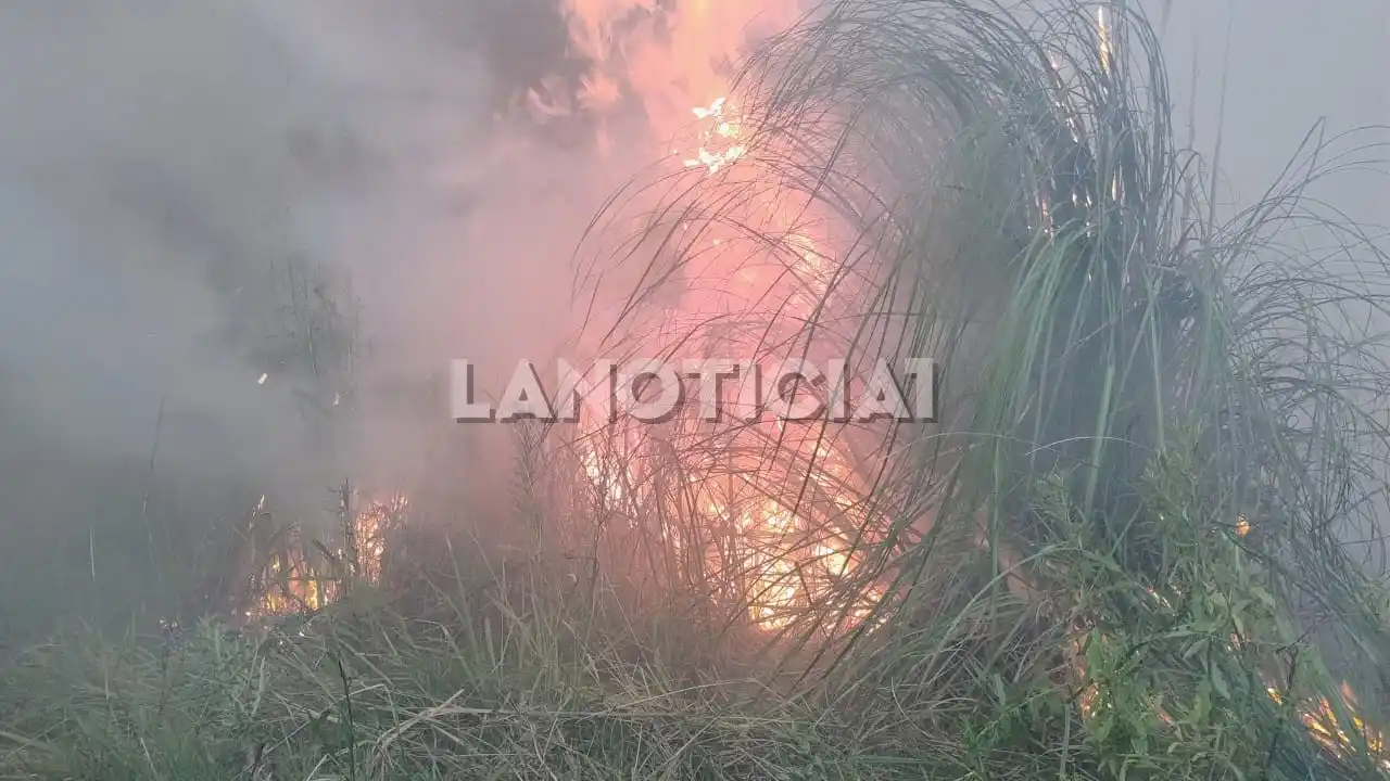 Incendio Zarate Campana