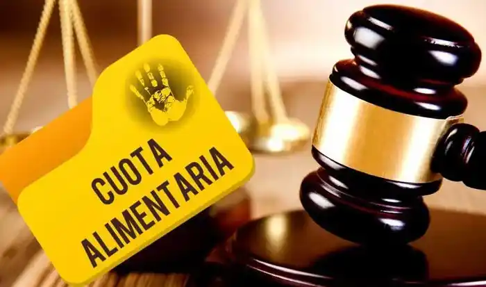 Fallo histórico en Paraná: fijan el 100% del Índice de Crianza como piso de cuota alimentaria