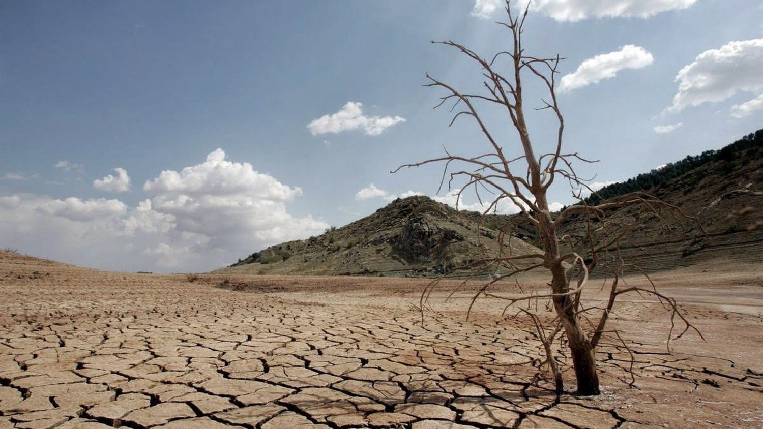 El lunes y el martes la temperatura promedio del planeta batió récords