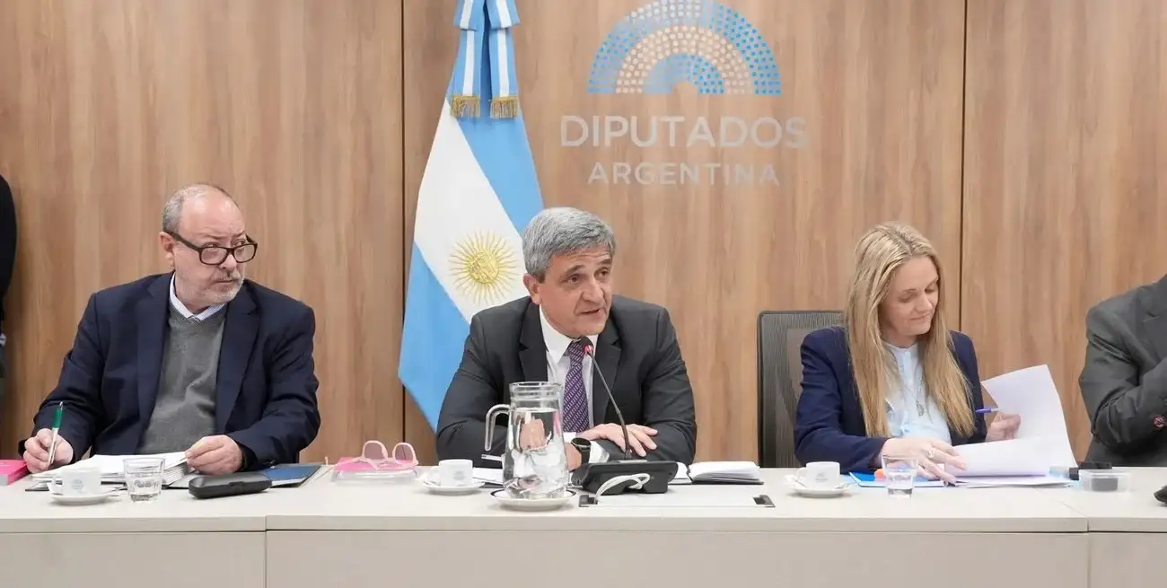 la comisión de Familias, Niñez y Juventudes, que presidió el diputado nacional Pablo Yedlin (UxP) avanzó con el proyecto.