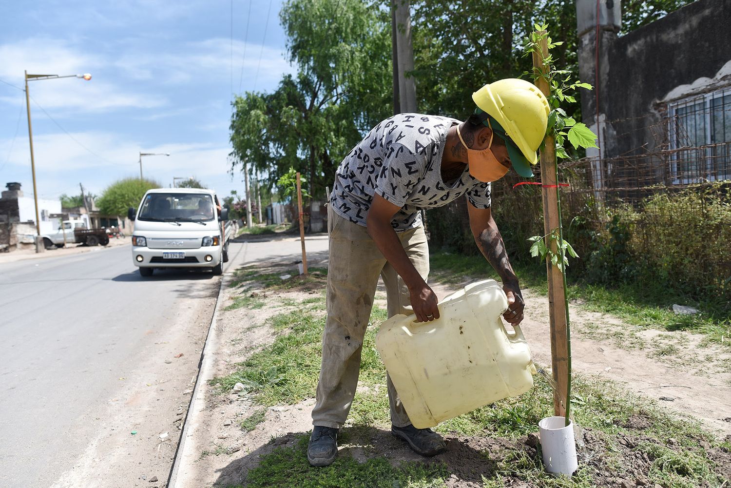 Se plantan casi 400 nuevos árboles en diferentes obras de la ciudad