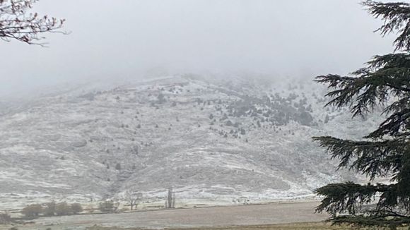 Nevó en Sierra de la Ventana: el paisaje se tiñó de blanco y se esperan más nevadas en provincia de Buenos Aires