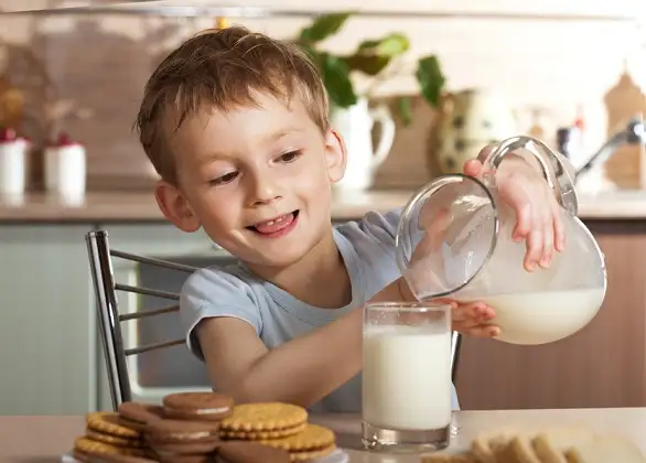 Se conmemora hoy el Día Mundial de la Leche