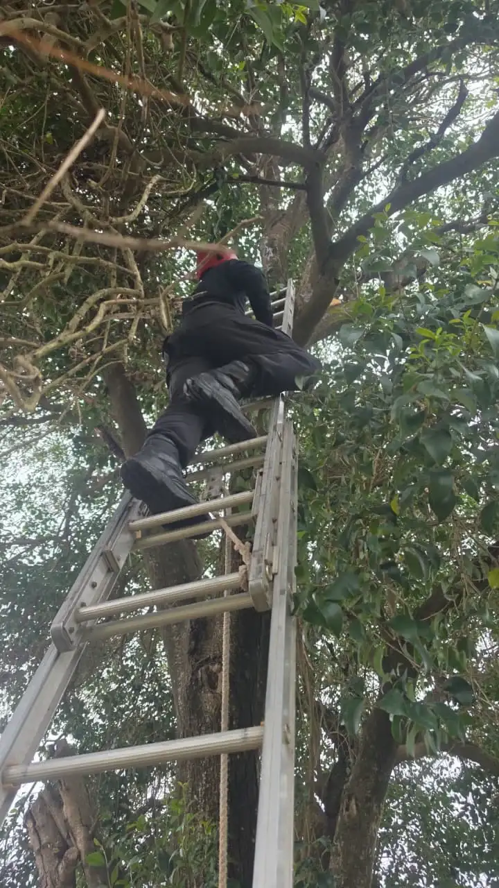 rescate