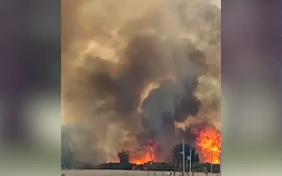 Captura de video