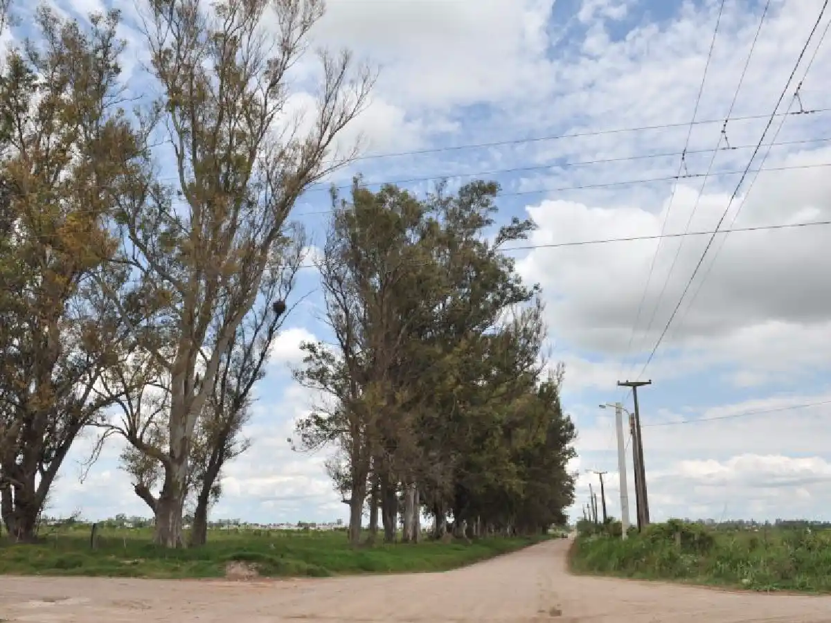 Licitaron la obra de cordón cuneta en avenida de la Universidad