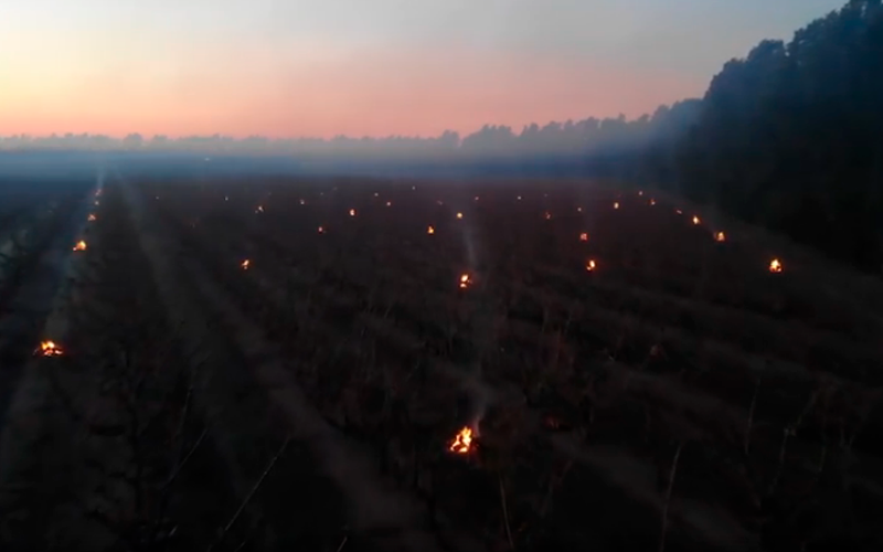 Durante agosto y septiembre, habrá datos disponibles para que productores puedan controlar las heladas en sus campos