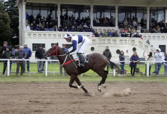 El hipódromo de Tandil implementará el sistema "commingling": de qué se trata