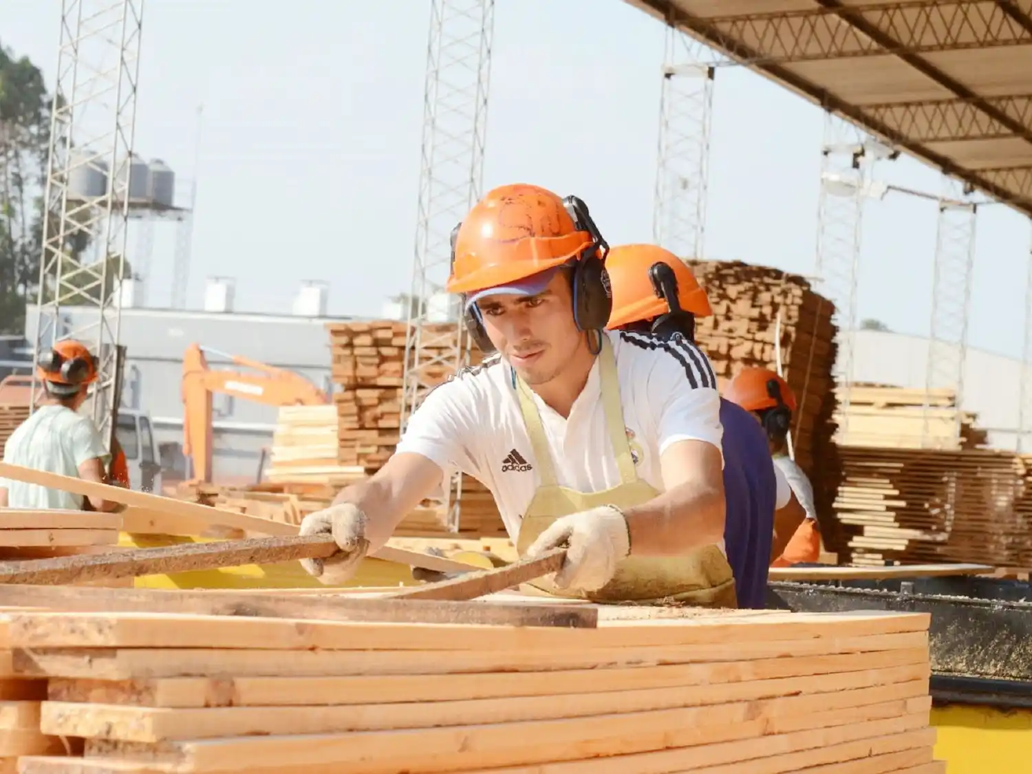 Cecilia Lacava: Impulsan la innovación y el desarrollo industrial maderero