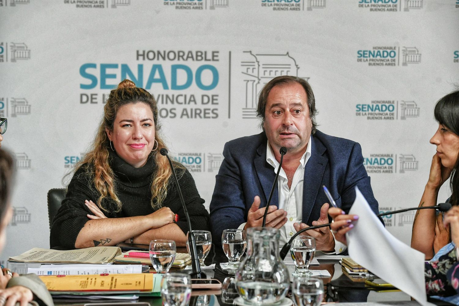 Será la segunda vez que la comisión discutirá el proyecto.