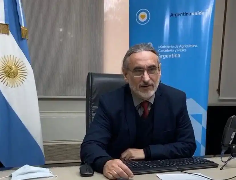 Amplían líneas de financiamiento para cadenas de carne de cerdo y pollo