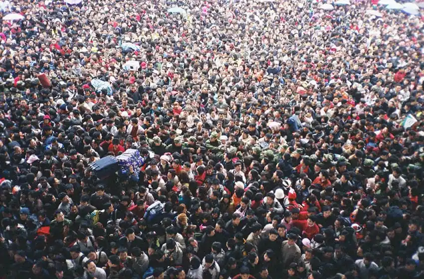 Hordas, grupos y equipos