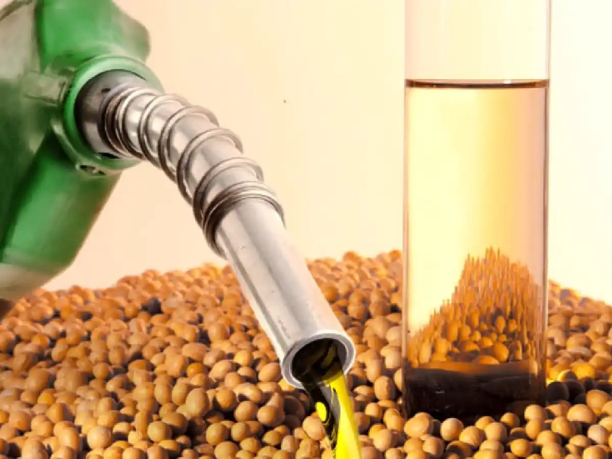 Estados Unidos fijó aranceles de hasta 72,28% al biodiésel argentino  