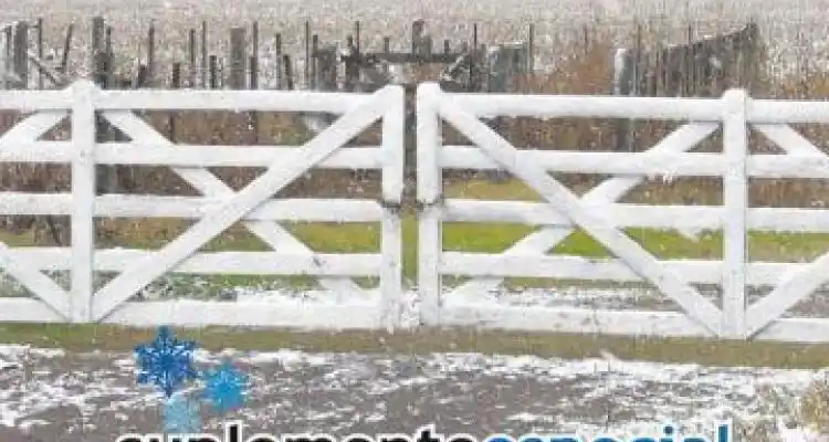 La nieve en imágenes