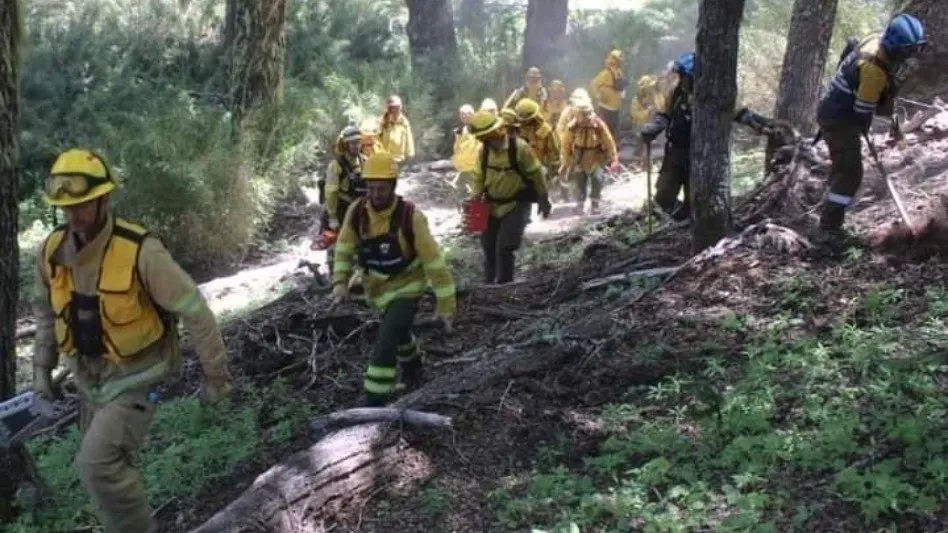 Bomberos voluntarios: "Somos un país que se une para pelear por una causa"
