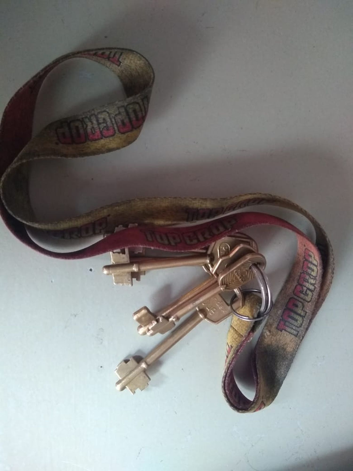 Encontraron un juego llaves en el Paseo Agenor Almada
