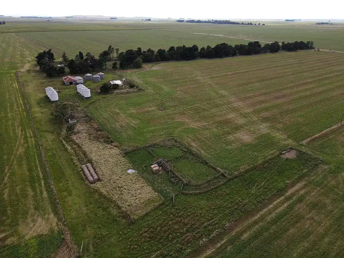 Vista aérea de un campo agrícola de la región, donde crece la demanda de tierras rurales y disminuye la oferta disponible.